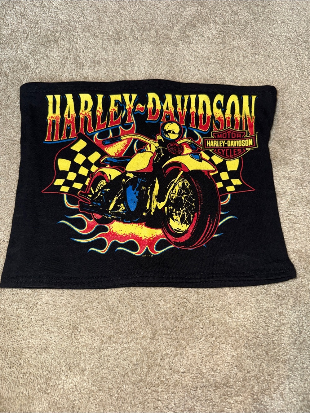 Reworked Harley-Davidson Morgan Hill, CA Tube Top